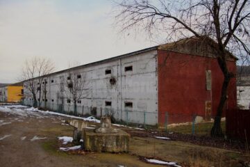Cine și de ce a ruinat Avicola Suceava?