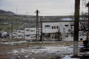 Cine și de ce a ruinat Avicola Suceava?