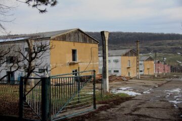 Cine și de ce a ruinat Avicola Suceava?