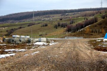 Cine și de ce a ruinat Avicola Suceava?