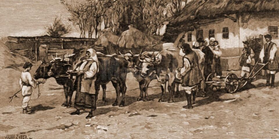 Sâmbra plugului – desen de Julius Zalaty Zuber (1867-1918)