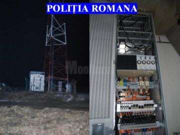 Releu Moisa