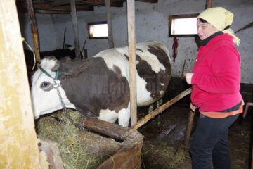 Trăiesc la lumânare și lampă cu petrol, la doar câțiva kilometri de Suceava