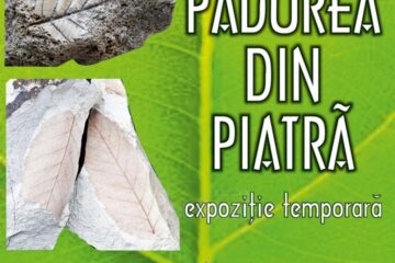 „Pădurea din piatră”, la Muzeul de Științele Naturii Suceava