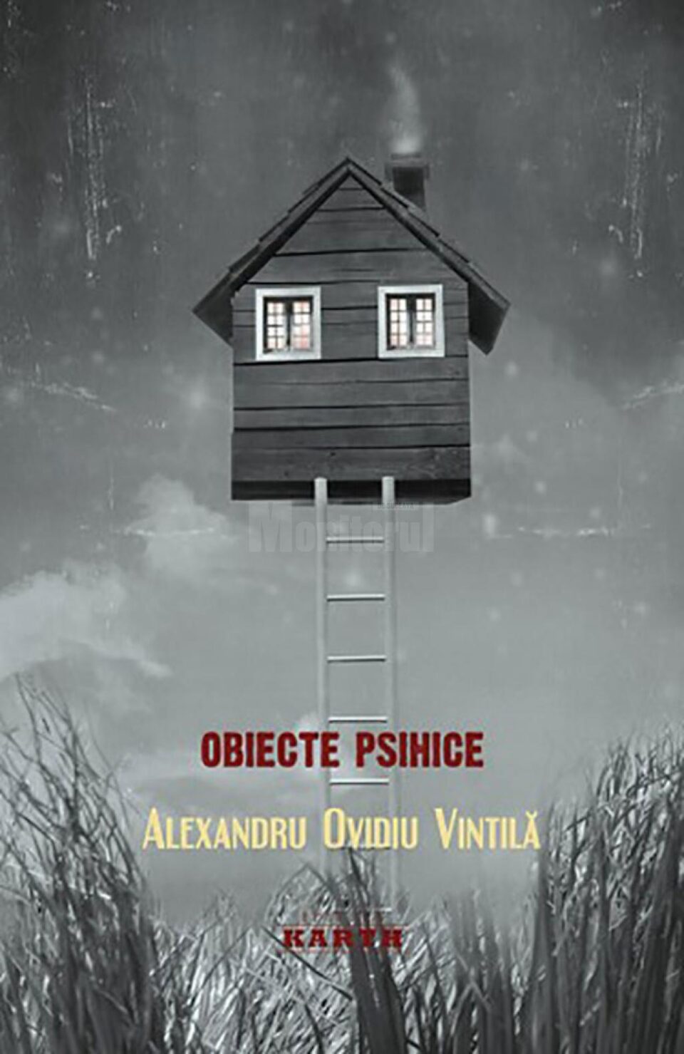 Volumul de poezie „Obiecte psihice”, al suceveanului Alexandru Ovidiu Vintilă, s-a clasat pe locul al doilea în topul cărților anului 2014