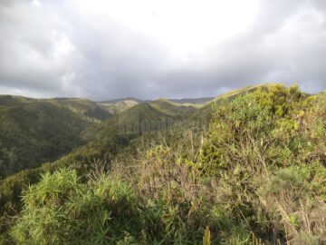 Patru suceveni au ajuns pe Kilimanjaro, acoperișul Africii