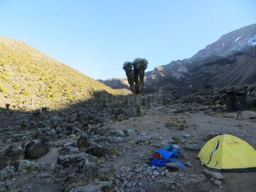 Patru suceveni au ajuns pe Kilimanjaro, acoperișul Africii