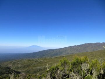 Patru suceveni au ajuns pe Kilimanjaro, acoperișul Africii