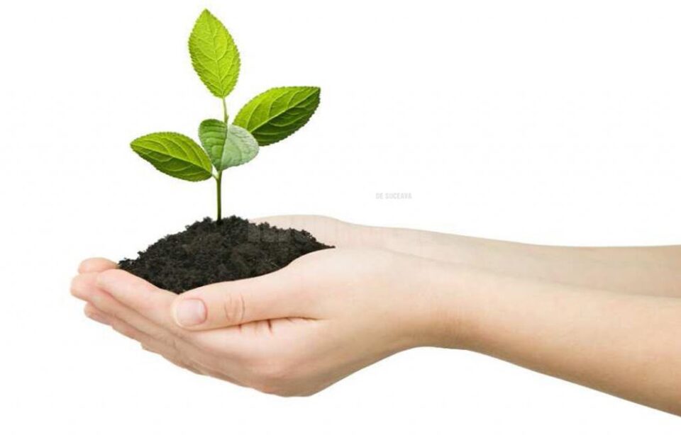 Producătorul El Fluido oferă ameliorator ecologic pentru sol, antigel și lichid de parbriz la prețuri foarte competitive