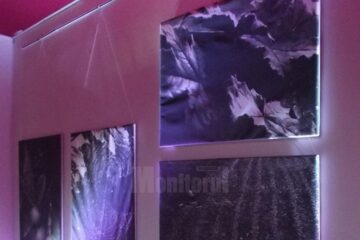 „Jazz-Photo”, la City Gallery