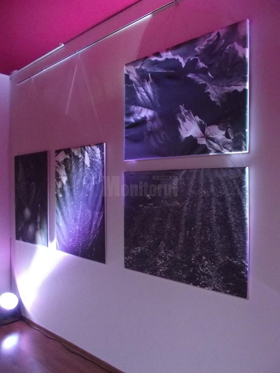 „Jazz-Photo”, la City Gallery