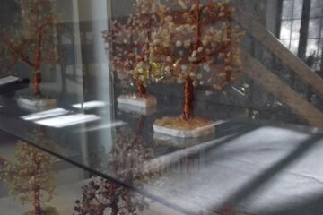 Pădurea din piatră