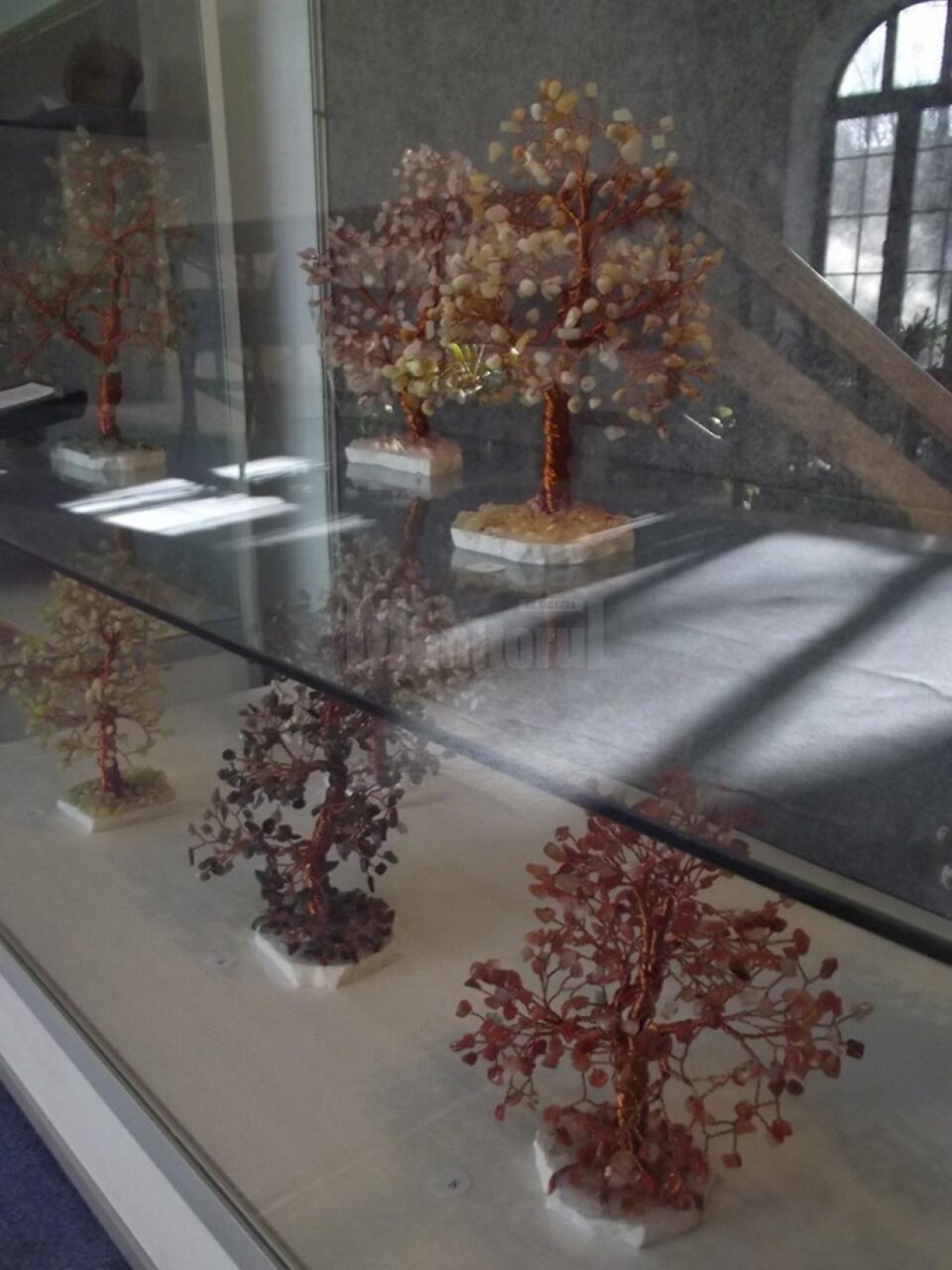 Pădurea din piatră