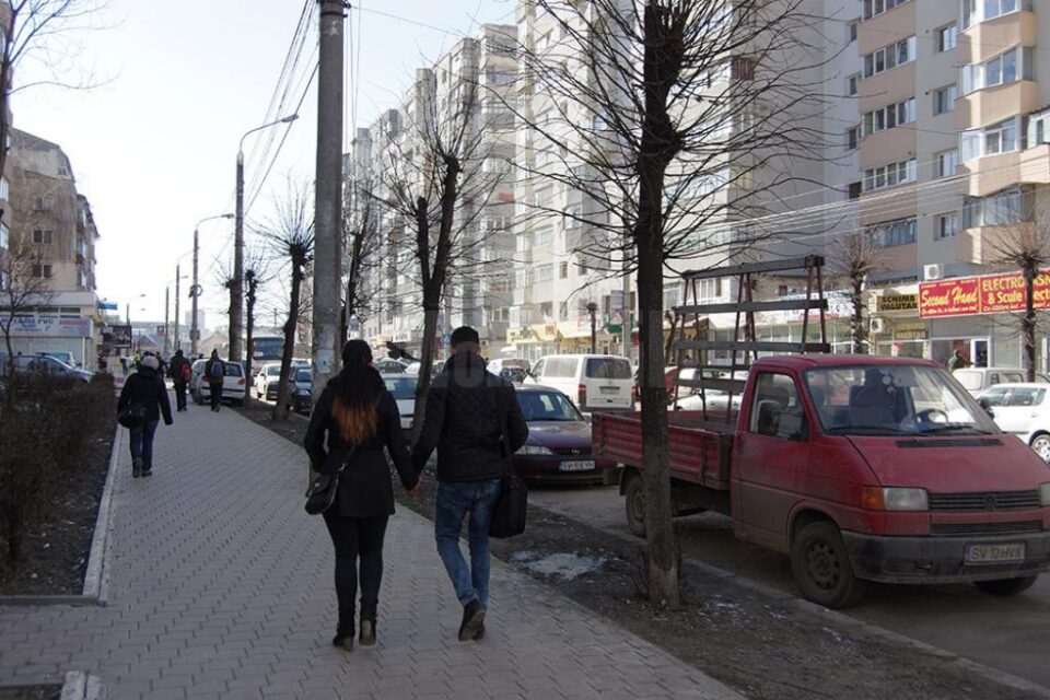 Copacii vor fi tăiați pentru amenajarea de parcări cu pavele