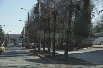 Copacii vor fi tăiați pentru amenajarea de parcări cu pavele