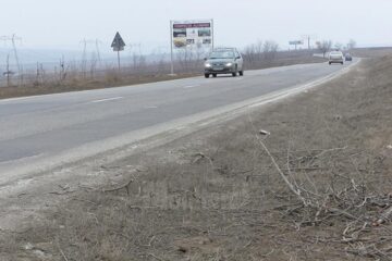 Locul arborilor tăiați va fi luat de puieți, tot în acest an, au dat asigurări oficialii de la Drumuri Naționale