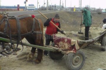 Prins de jandarmi în timp ce încărca în căruță nisipiul folosit la lucrările de pe str. Cernăuți
