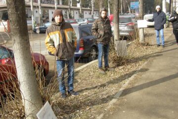 Voluntarii ecologiști au adoptat teii de pe strada Universității și de pe bulevardul George Enescu