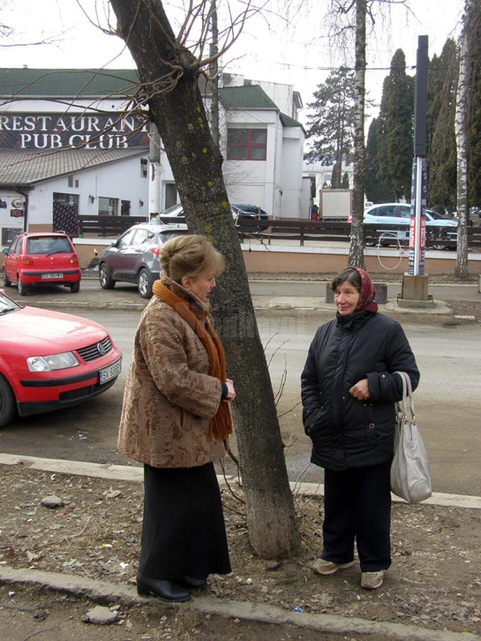 Voluntarii ecologiști au adoptat teii de pe strada Universității și de pe bulevardul George Enescu