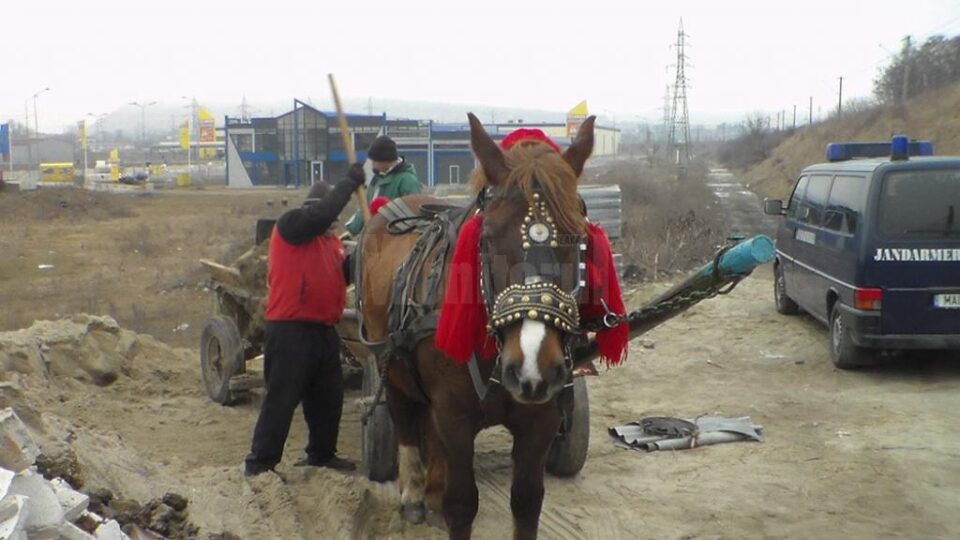 Suspectul de furt a fost identificat în persoana lui Marcu Rostaș, domiciliat în municipiul Suceava