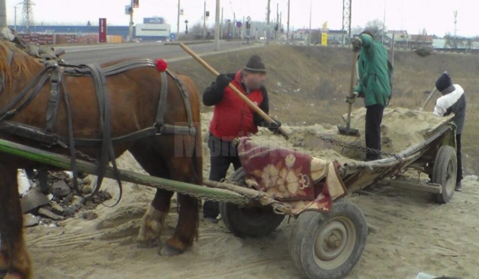Suspectul de furt a fost identificat în persoana lui Marcu Rostaș, domiciliat în municipiul Suceava