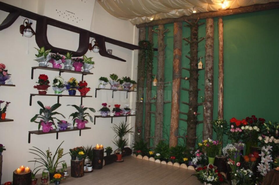 Mi Alma, o florărie unică în județul Suceava