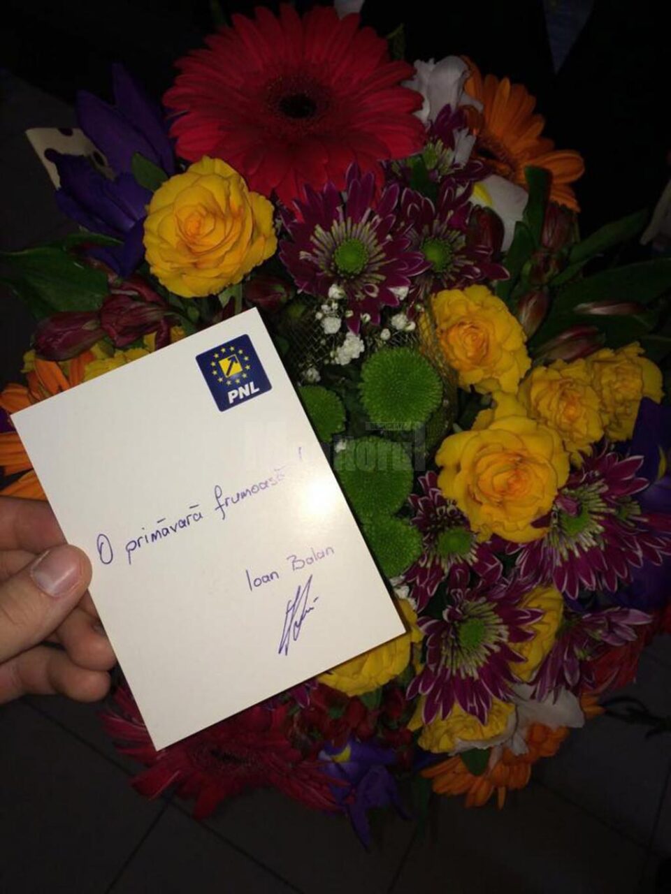 Flori din partea deputatului Balan pentru femeile din municipiul Suceava la debutul primăverii