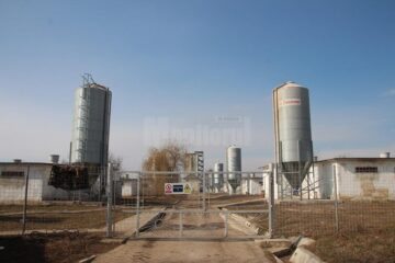 Industrializat de comuniști, zdrobit în capitalism, Verești revine pe harta economică