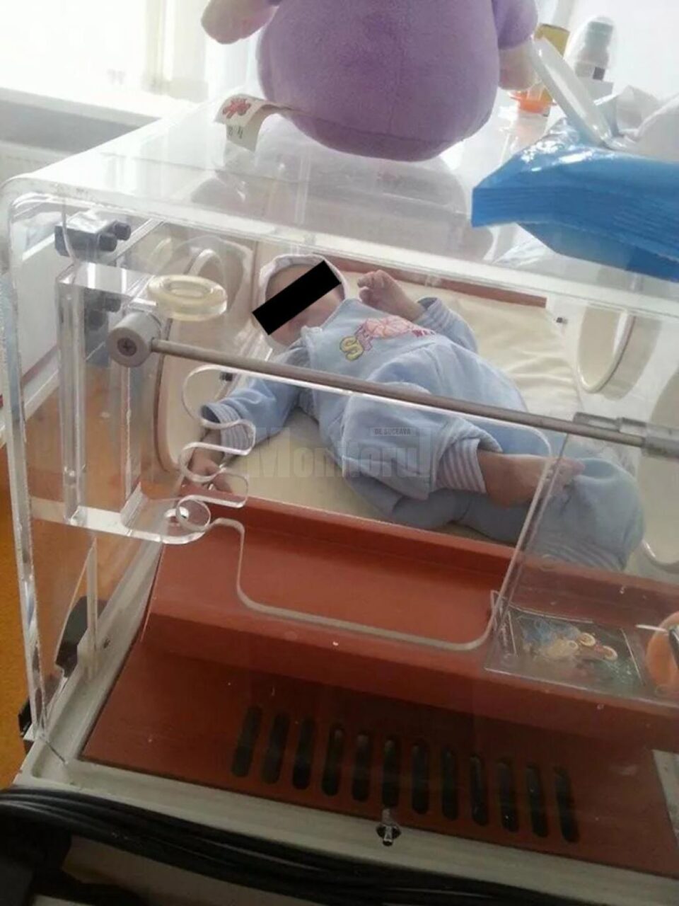 La un an și două luni, Vasilică ar trebui să cântărească între 10 și 11 kilograme