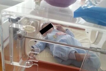 La un an și două luni, Vasilică ar trebui să cântărească între 10 și 11 kilograme