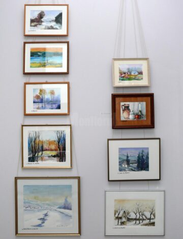 “Acuarelă și decoart”, a patra expoziție din acest an realizată de artistul plastic humorean Radu Bercea