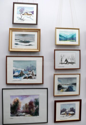 “Acuarelă și decoart”, a patra expoziție din acest an realizată de artistul plastic humorean Radu Bercea