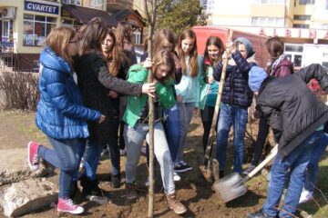 Acțiune de plantare a elevilor Scolii Nr. 4