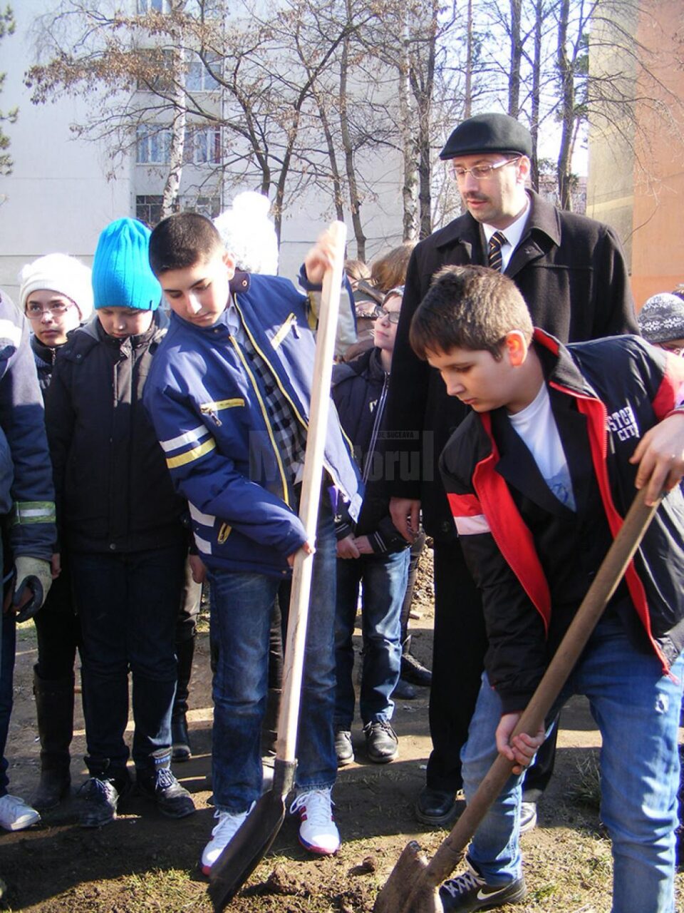 Elevii Școlii Gimnaziale Nr. 4 Suceava au plantat puieți în vecinătatea unității