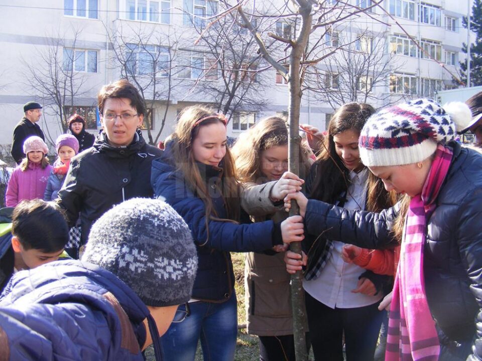 Elevii Școlii Gimnaziale Nr. 4 Suceava au plantat puieți în vecinătatea unității