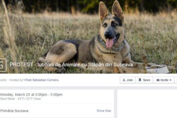 Proteste organizate pe Facebook de iubitorii de animale din Suceava