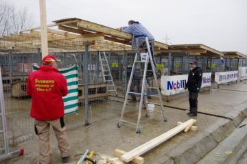 Voluntarii germani, muncind să ofere condiții cât mai bune câinilor din adăpostul de animale al Sucevei
