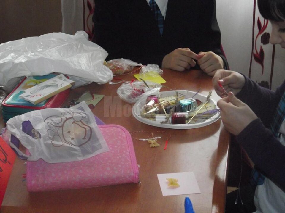 Formarea abilităților de predare pentru studenții Facultății de Științe ale Educației, la Vatra Dornei