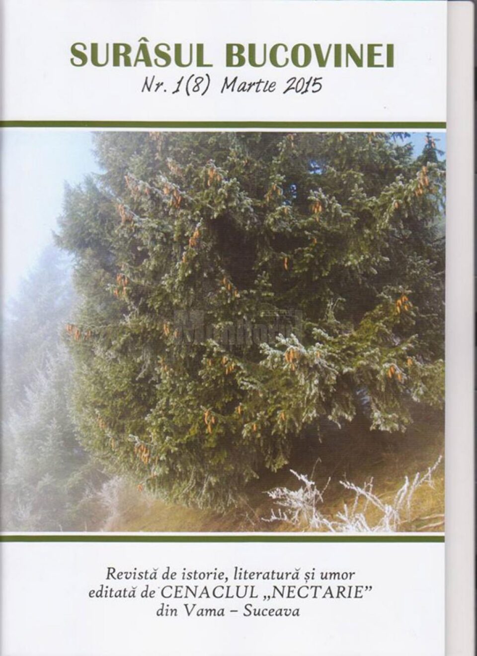 Ședința Cenaclului „Nectarie” și „Surâsul Bucovinei”