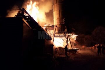 Incendiul de la Dorna Arini