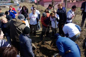 Copii cu dizabilități din Suceava și Spătărești au plantat ieri 12 copaci în curtea Centrului de Recuperare „Blijdorp”