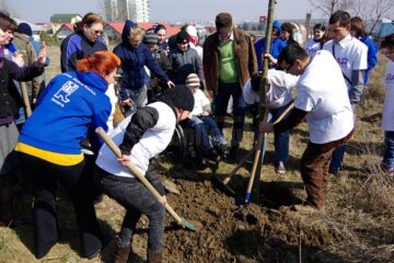 „Grădina demnității umane” la Blijdorp