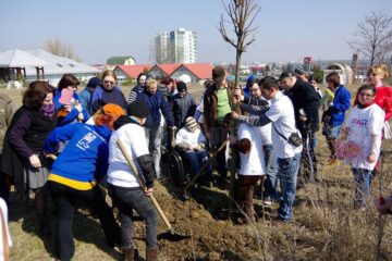 Copii cu dizabilități din Suceava și Spătărești au plantat ieri 12 copaci în curtea Centrului de Recuperare „Blijdorp”