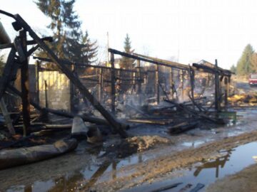 Puternicul incendiu de la societatea din Dorna Arini a lăsat pagube imense în urmă