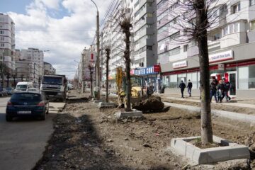 Teii ramași în stradă ca urmare a protestelor ecologiștilor au fost împrejmuiți cu borduri înalte, pentru a se evita coliziunea mașinilor cu trunchiul copacilor, în caz de accidente