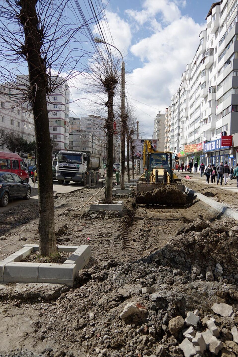 Teii "bordurați”, soluția de împăcare a ecologiștilor și de continuare a modernizării bulevardului George Enescu