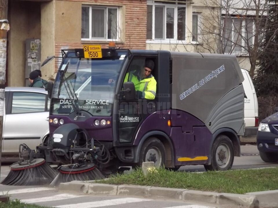 Curățenie în Obcini