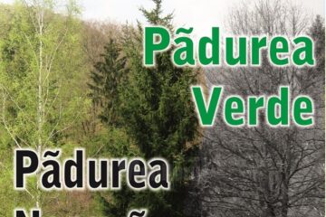 Expoziția de desene și fotografii „Pădurea verde - Pădurea neagră”