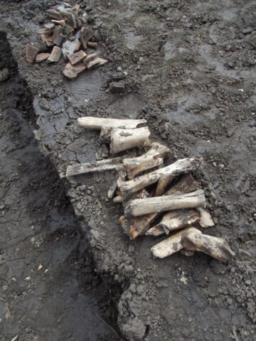 Noi descoperiri arheologice în vechiul cimitir armenesc al Bisericii Sf. Simion