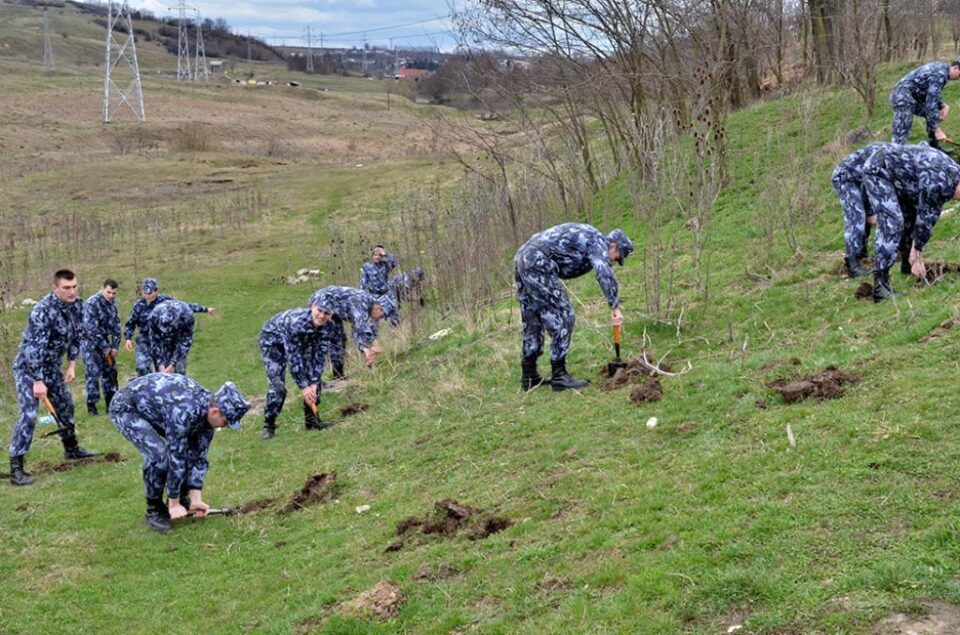 Elevii din anul I ai Școlii Militare de Subofițeri Jandarmi Fălticeni au participat la acțiuni de ecologizare a mai multor străzi și de plantare de puieți